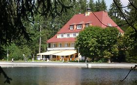 Hotel Waldsee Lindenberg im Allgäu